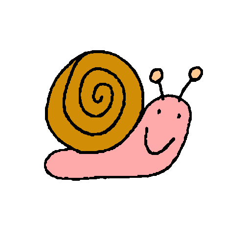 Caracol 4