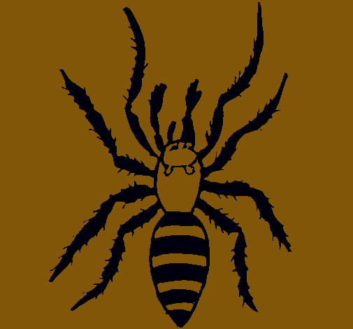 Araña tigre