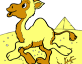 Dibujo Camello pintado por KARLIX