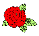 Dibujo Rosa pintado por lili52