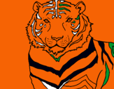 Dibujo Tigre pintado por titoytoto