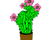 Dibujo Flores de cactus pintado por migel