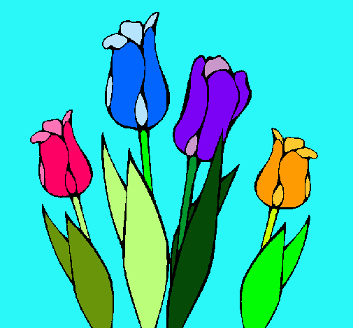 Tulipanes