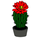 Dibujo Cactus con flor pintado por nancyfabia