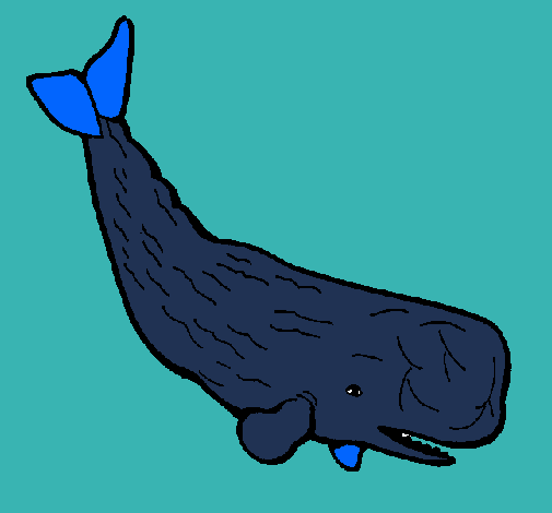 Ballena grande