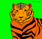 Dibujo Tigre pintado por Guillamon