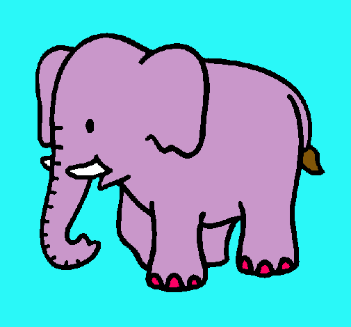 Elefante bebe