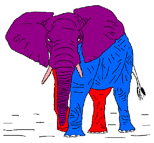 Elefante