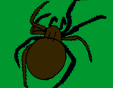 Dibujo Araña venenosa pintado por Lolo130306