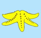 Dibujo Estrella de mar pintado por kaiiiiiiiiii