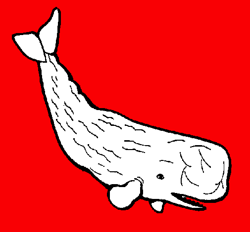 Ballena grande