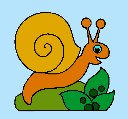 Caracol