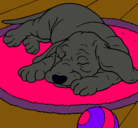 Dibujo Perro durmiendo pintado por dy1999