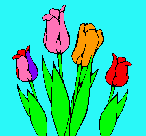 Tulipanes