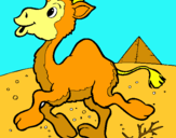 Dibujo Camello pintado por camellocaty