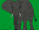 Dibujo Elefante pintado por micaelaaaaa