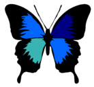 Dibujo Mariposa con alas negras pintado por rafo 