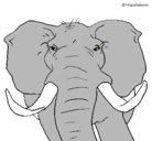 Dibujo Elefante africano pintado por djjose123454