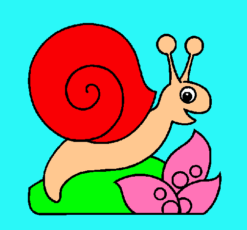 Caracol