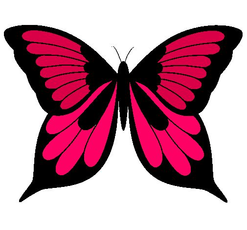 Mariposa