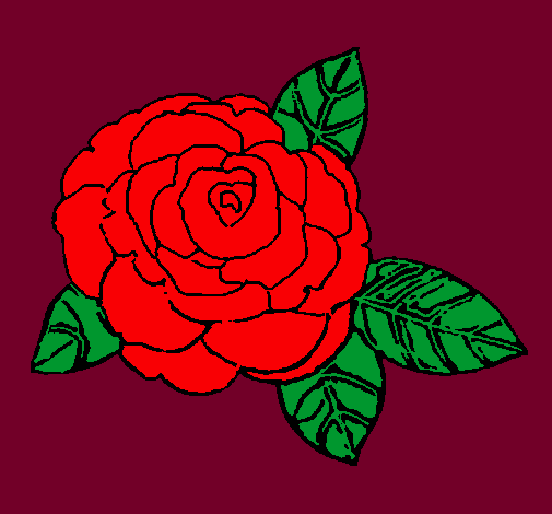 Rosa