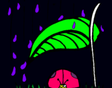 Dibujo Mariquita protegida de la lluvia pintado por Asgard4