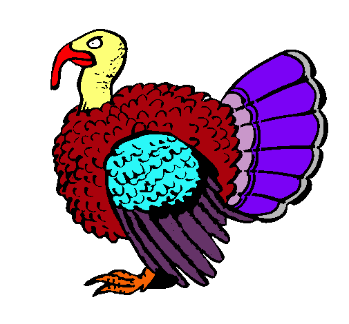 Pavo 