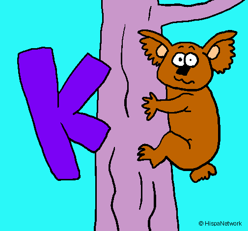 Koala