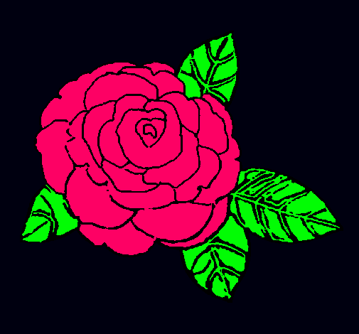 Rosa