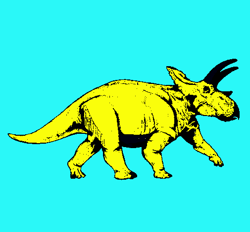 Triceratops