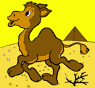 Dibujo Camello pintado por mustee