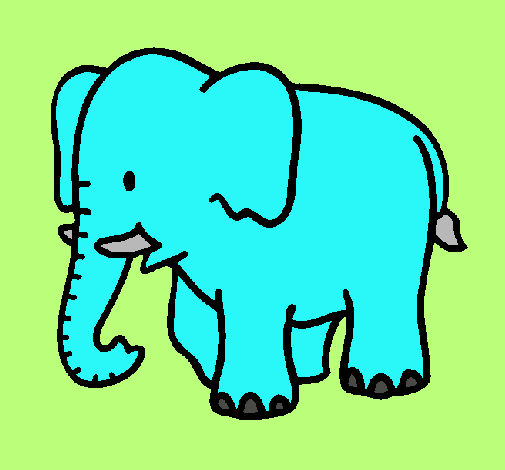 Elefante bebe