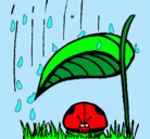 Dibujo Mariquita protegida de la lluvia pintado por ariadny