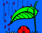 Dibujo Mariquita protegida de la lluvia pintado por Chelsyy