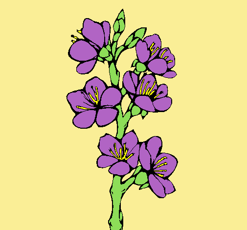 Dibujo Flores de campo pintado por Paolita