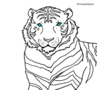 Dibujo Tigre pintado por ERENDIRA