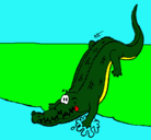Dibujo Aligátor entrando al agua pintado por cocodrilo