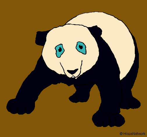 Oso panda