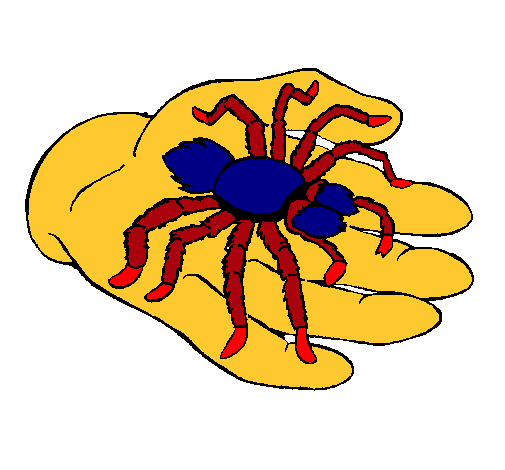 Tarántula