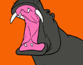 Dibujo Hipopótamo con la boca abierta pintado por nkl87621fm0o