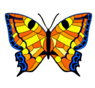 Dibujo Mariposa pintado por rachoo