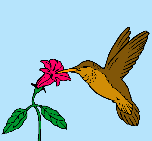 Dibujo Colibrí y una flor pintado por Camilita