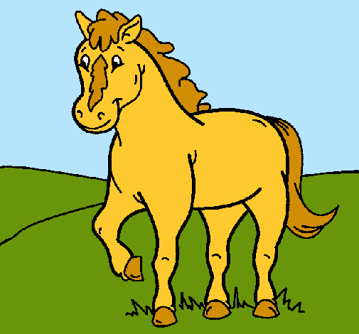 Caballo