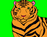 Dibujo Tigre pintado por xarlot 