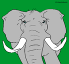 Dibujo Elefante africano pintado por pistolita