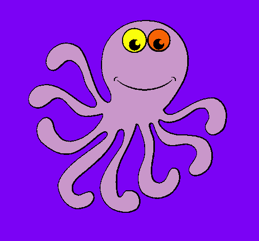 Pulpo 2