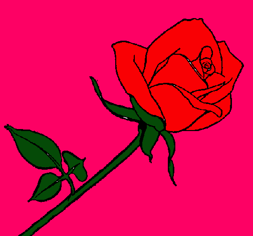 Dibujo Rosa pintado por 14785