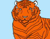 Dibujo Tigre pintado por sasuke1