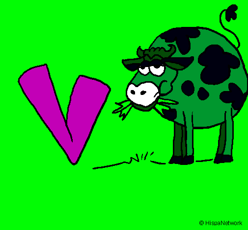 Vaca