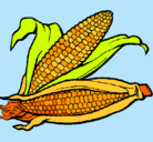 Dibujo Mazorca de maíz pintado por ynes